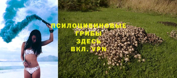 молекула духа Протвино