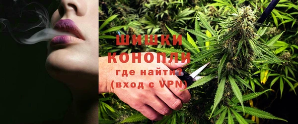 молекула духа Протвино