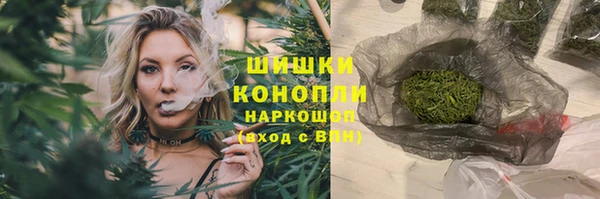 молекула духа Протвино