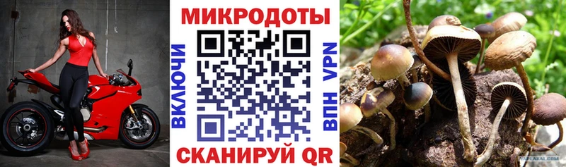закладки Себеж блэк спрут ССЫЛКА это наркотические препараты Псилоцибиновые грибы Magic Shrooms